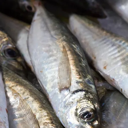 Holiday home The Salt Flat Olhao