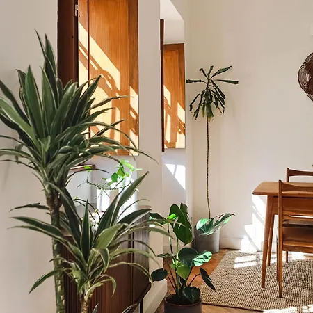 度假居 The Salt Flat 奥良