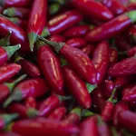 The Salt Flat *